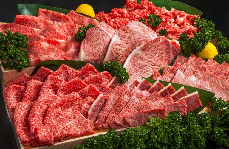 バイトからのスタートで広がる飲食業界での将来 | 心斎橋で焼肉の求人なら成長を目指せる株式会社EatLab
